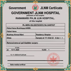 Create a fake medical certificate on GOVERNMENT JLNM HOSPITAL. R...