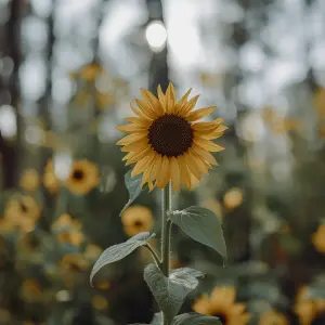 Good morning, my dear. I really appreciate what you said—it mean...