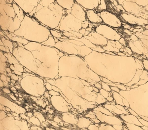 antique marbled paper background, soft ink-wash charcoal micro v...