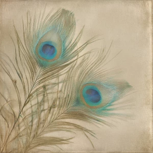 Only whisper-light peacock feather barbs (no eyes) brushing in f...