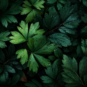 Generate a realistic depiction of a dark green scene featuring a...