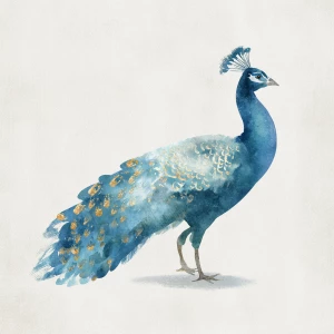Style: Shabby-Chic Peacock — flat watercolor + soft gouache; des...
